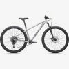 Specialized MTB Rockhopper Expert 27.5 SATIN SILVERDUST / BLACK HOLOGRAPHIC