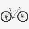 MTB Specialized Rockhopper Expert 29 Silver 2022