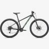 MTB Specialized Rockhopper Sport 29 Satin Forest