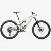 Specialized MTB Stumpjumper EvoExpert GLOSS BIRCH / TAUPE