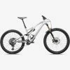 Specialized MTB Stumpjumper EvoPro GLOSS DUNE WHITE / TAUPE